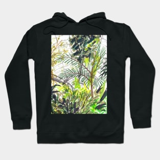 Kew Gardens Palm House Hoodie